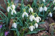DSC_6527_1920
