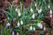 DSC_6552_1920