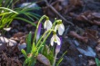 DSC_6559_1920