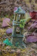DSC_6563_1920