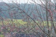 DSC_6615_1920