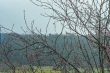 DSC_6616_1920