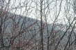 DSC_6617_1920