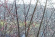 DSC_6619_1920