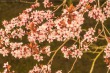 DSC_6643_1920