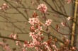 DSC_6651_crop_1920