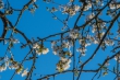 DSC_6662_1920