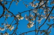 DSC_6663_1920