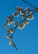 DSC_6664_crop_1920
