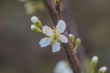 DSC_6684_1920