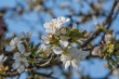 DSC_6685_1920