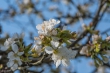 DSC_6686_1920