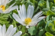 DSC_6687_1920
