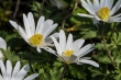 DSC_6689_1920