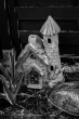 DSC_6690_1920