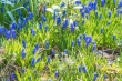 DSC_6691_1920