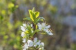 DSC_6699_1920