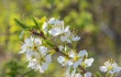 DSC_6702_crop_1920