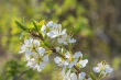 DSC_6704_1920