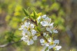 DSC_6706_1920