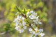 DSC_6707_1920