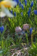 DSC_6721_1920