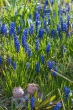 DSC_6725_1920