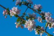 DSC_6740_1920