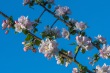 DSC_6742_1920