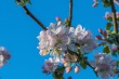 DSC_6743_1920