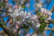 DSC_6748_1920