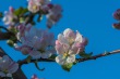 DSC_6751_1920