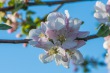 DSC_6752_1920