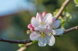 DSC_6755_1920