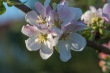 DSC_6758_1920