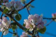 DSC_6763_1920