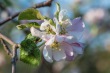 DSC_6765_1920