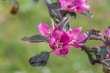 DSC_6770_1920