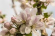 DSC_6772_1920