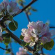 DSC_6763_1920