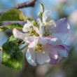 DSC_6765_1920