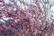 DSC_7356_1920