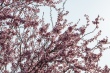 DSC_7359_1920