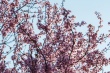 DSC_7368_1920