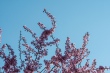 DSC_7370_1920