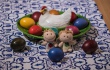 DSC_7413_crop_crop_1920