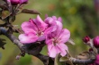 DSC_7420_1920