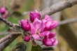 DSC_7421_1920