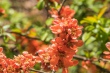 DSC_7431_1920