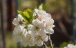 DSC_7436_crop_1920